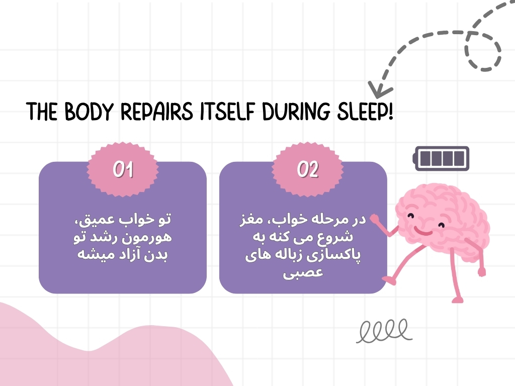 بدن موقع خواب خودش و ترمیم میکنه!
